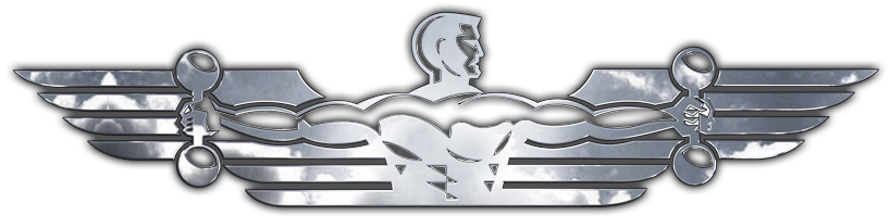 Inflight Fitness official Logo
