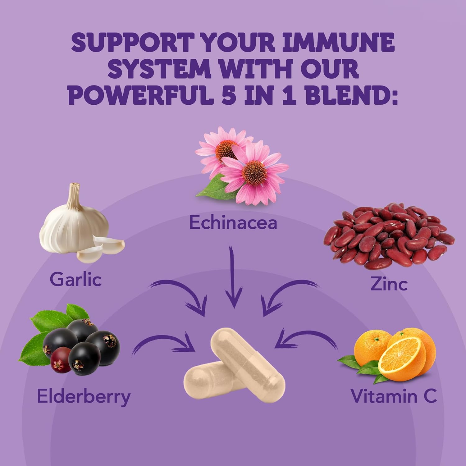 Vitamin Bounty Elderberry Immune Support 5-in-1 ingredients.