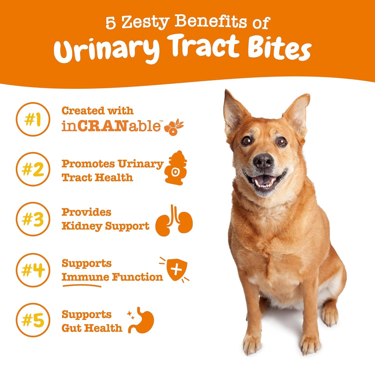 Zesty Paws Product Highlights 