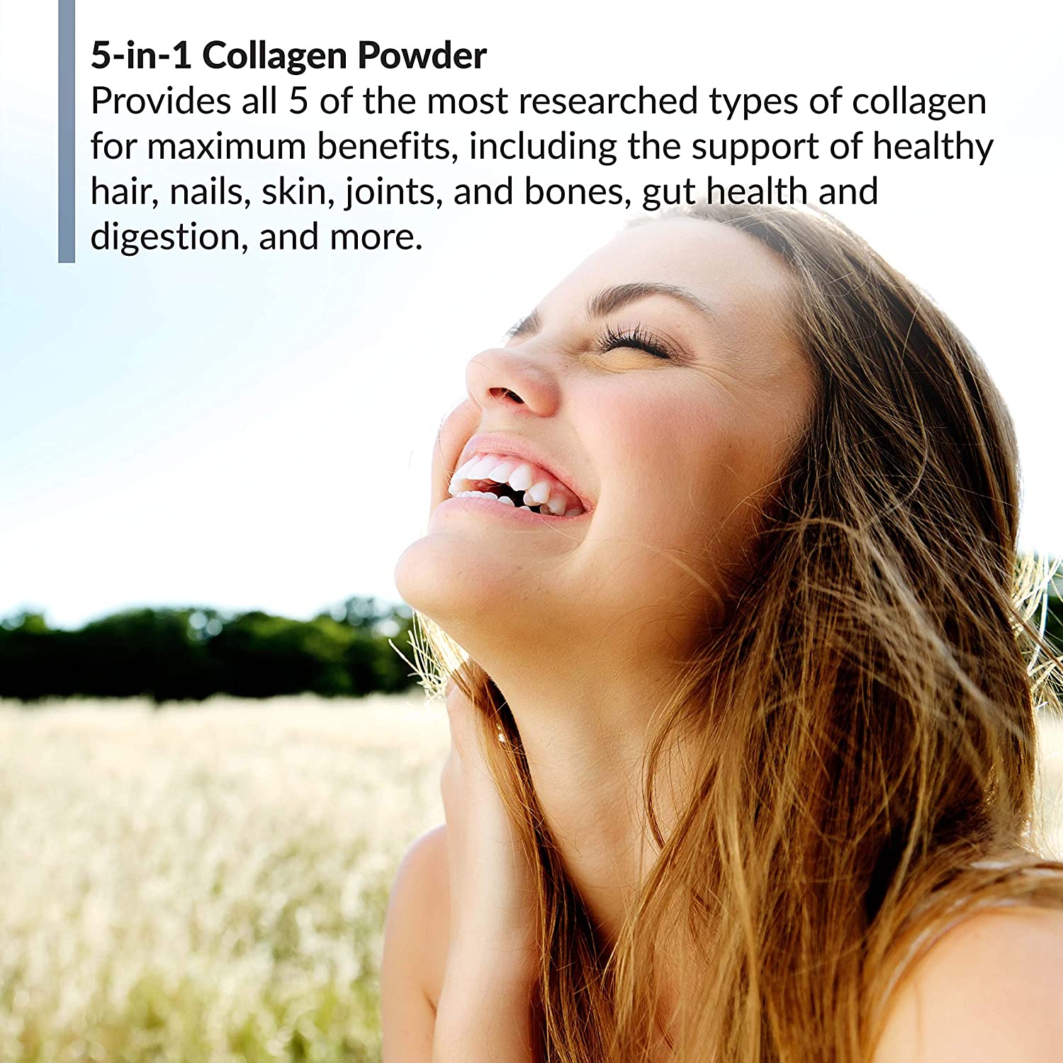 BioTrust Ageless Multi Collagen Protein a 5-in-1 Collagen Powder - Product Highlight.