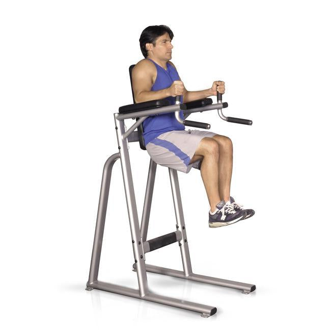 Inflight Fitness VKR Vertical Knee Raise Ab Workout