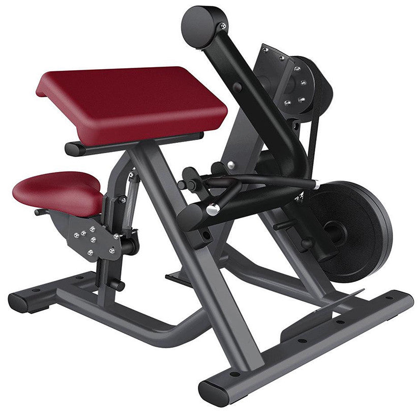 Leg Extension Elite Series - Muscle D Fitness – Weight Room Equipment