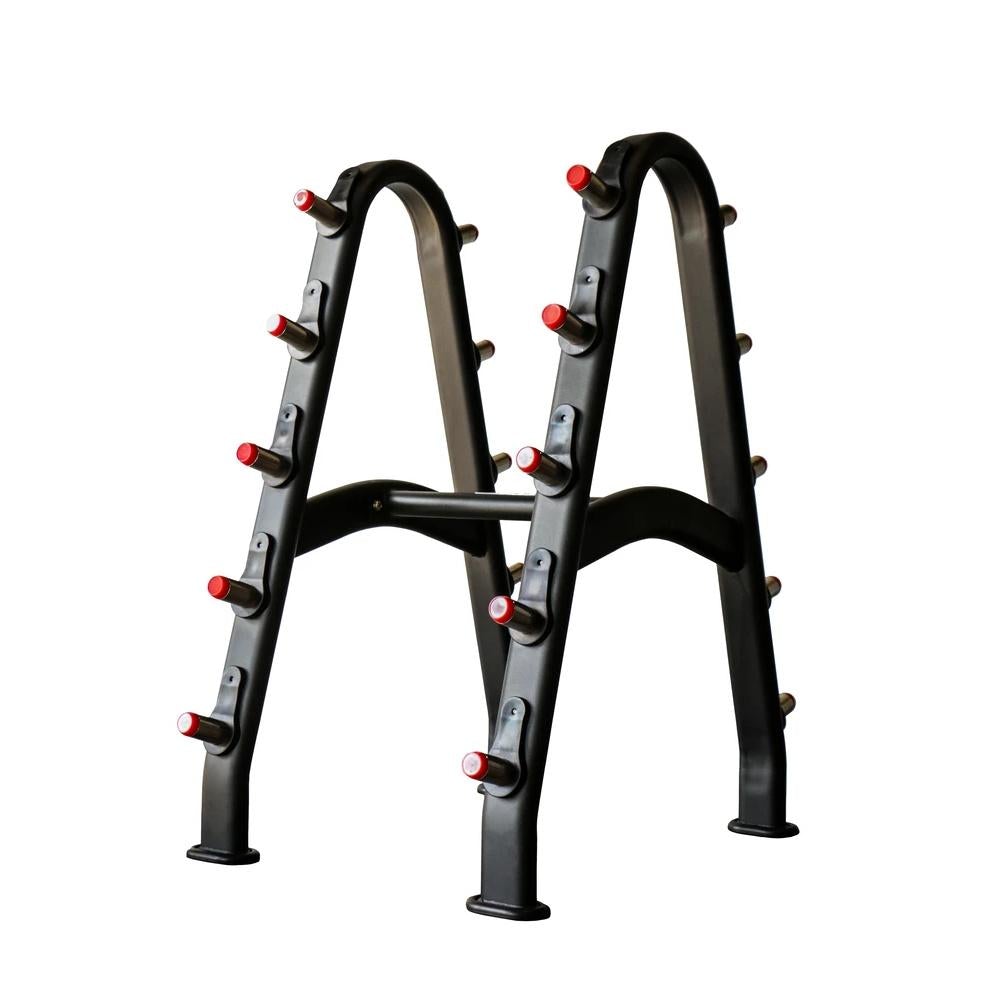 Fixed barbell deals storage rack